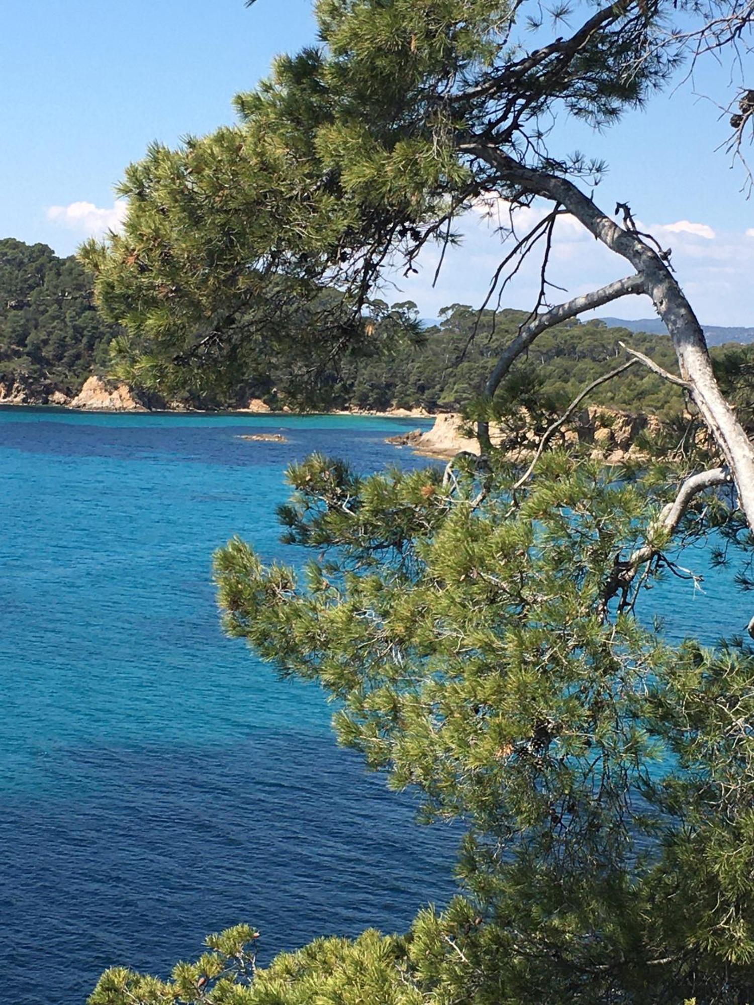 Appartement T3 Lumineux Traversant Totalement Neuf En Face De La Plage Front De Mer Vue Sur Les Iles Vue Mer Panoramique Assuree Residence De La Plage Centre Ville Du Lavandou 3Eme Etage Avec Ascenseur Appartement T3 勒拉旺杜 外观 照片